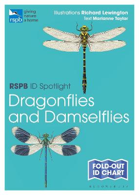 RSPB #: ID Spotlight: Dragonflies and Damselflies
