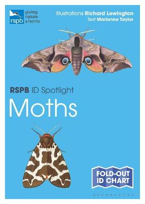 RSPB #: ID Spotlight: Moths