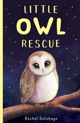 Little Animal Rescue #05: Little Owl Rescue
