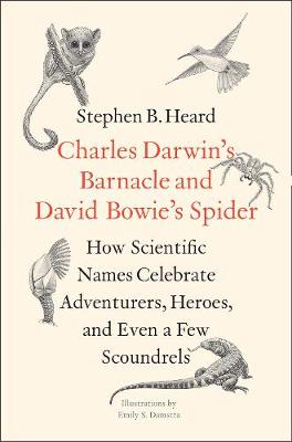 Charles Darwin's Barnacle and David Bowie's Spider