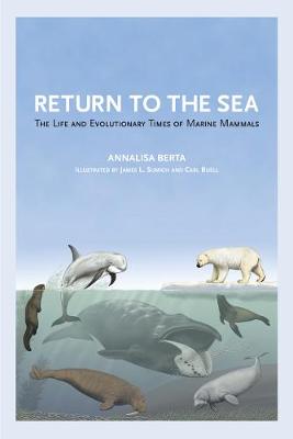 Return to the Sea: The Life and Evolutionary Times of Marine Mammals