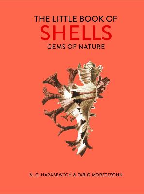 Little Book of Shells, The: Gems of Nature