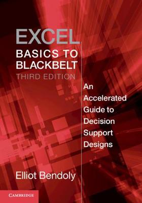 Excel Basics to Blackbelt  (3rd Edition)
