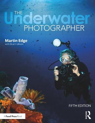 Underwater Photographer, The