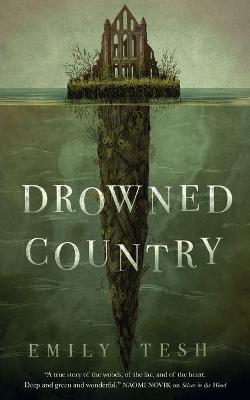 Greenhollow Duology #02: Drowned Country