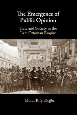 The Emergence of Public Opinion
