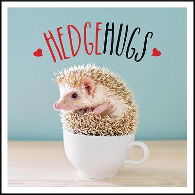 Hedgehugs: A Spike-Tacular Celebration of the World's Cutest Hedgehogs