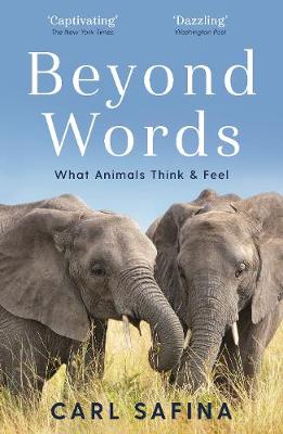 Beyond Words: What Animals Think and Feel