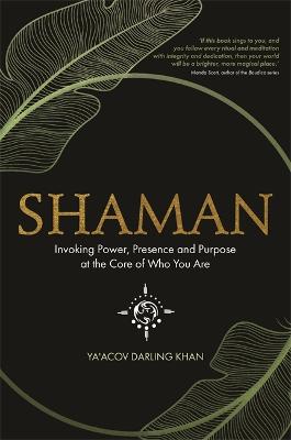 Shaman: Invoking Power, Presence and Purpose at the Core of Who You Are