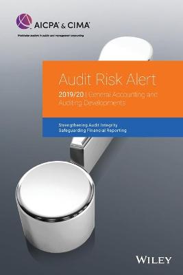 Audit Risk Alert