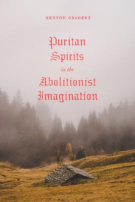 American Beginnings, 1500-1900: Puritan Spirits in the Abolitionist Imagination
