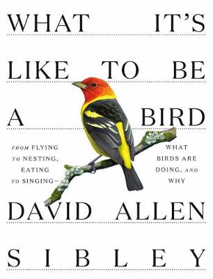 What It's Like to Be a Bird: From Flying to Nesting, Eating to Singing, What Birds Are Doing, and Why