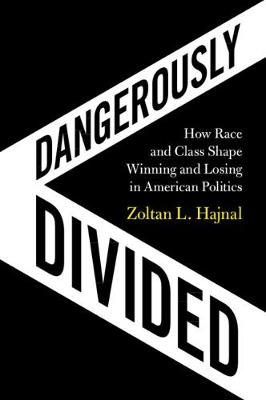 Dangerously Divided: How Race and Class Shape Winning and Losing in American Politics