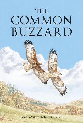 Poyser Monographs: Common Buzzard, The