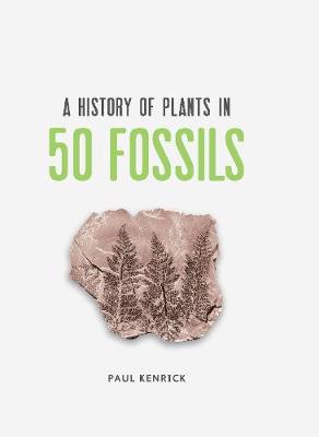 A History of Plants in 50 Fossils