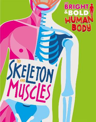 Bright and Bold Human Body: Skeleton and Muscles, The