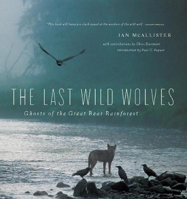 Last Wild Wolves, The: Ghosts of the Rain Forest