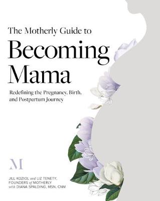 Motherly Guide to Becoming Mama, The: Redefining the Pregnancy, Birth, and Postpartum Journey