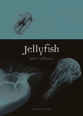 Animal: Jellyfish