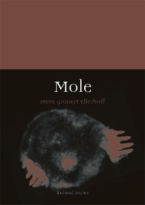 Animal: Mole