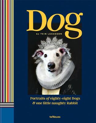Dog: Portraits of Eighty-Eight Dogs and One Little Naughty Rabbit