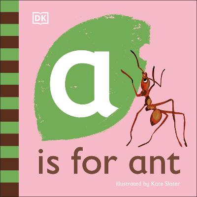 A is for Ant (Board Book)