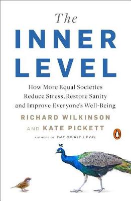 Inner Level, The: How More Equal Societies Reduce Stress, Restore Sanity and Improve Everybody's Wellbeing