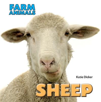Farm Animals: Sheep