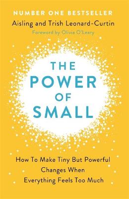 Power of Small, The: Making Tiny But Powerful Changes When Everything Feels Too Much