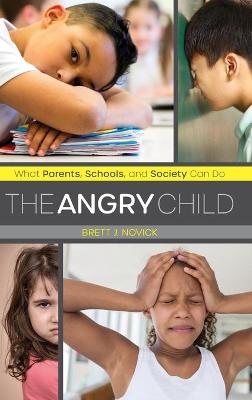 Angry Child, The: What Parents, Schools, and Society Can Do
