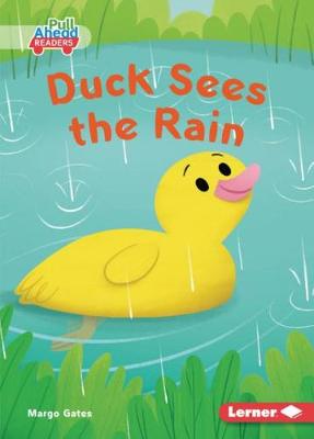 Duck Sees the Rain