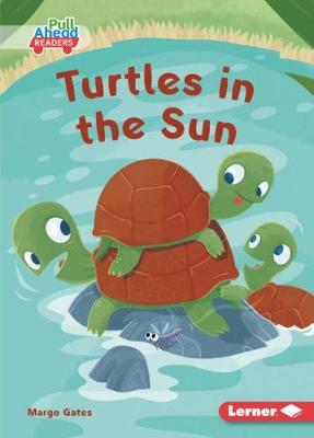 Turtles in the Sun