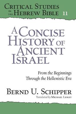 A Concise History of Ancient Israel: From the Beginnings Through the Hellenistic Era
