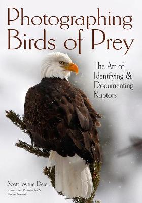 Photographing Birds Of Prey: The Art of Identifying and Documenting Raptors