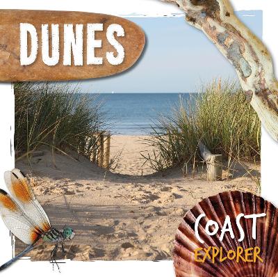 Coast Explorer: Dunes