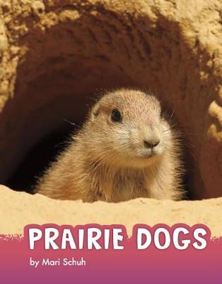 Animals: Prairie Dogs