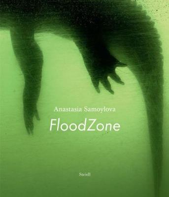 Anastasia Samoylova: FloodZone