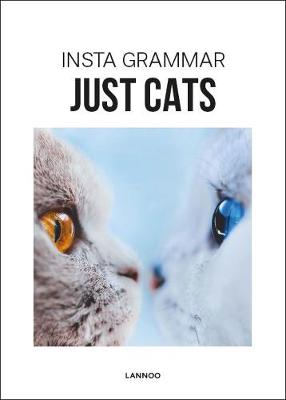 Insta Grammar: Just Cats