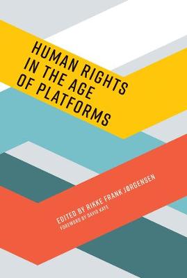 Information Policy: Human Rights in the Age of Platforms