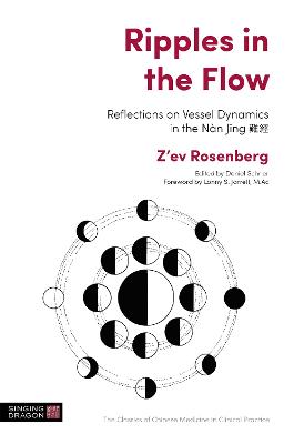 Ripples in the Flow: Reflections on Vessel Dynamics in the Nan Jing