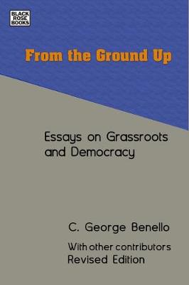 From the Ground Up: Essays on Grassroots and Democracy