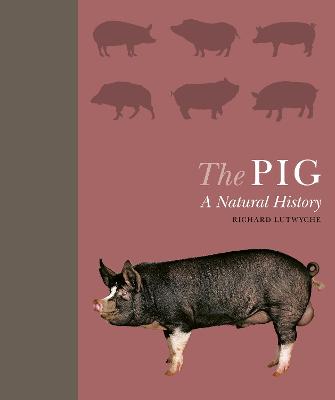 A Natural History: Pig, The: A Natural History