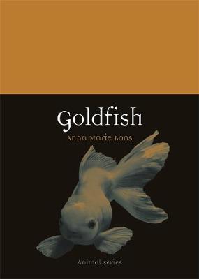 Animal: Goldfish