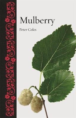 Botanical: Mulberry
