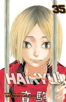 Haikyu!! Volume 35 (Graphic Novel)
