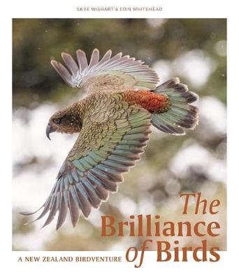 Brilliance of Birds, The