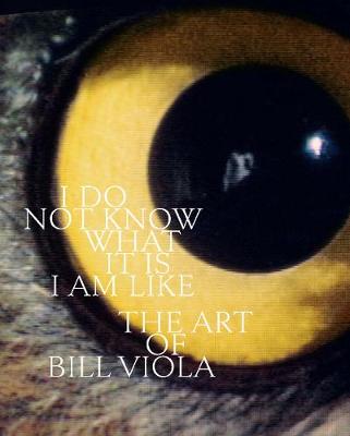 I Do Not Know What It Is I Am Like: The Art of Bill Viola