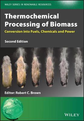 Thermochemical Processing of Biomass: Conversion into Fuels, Chemicals and Power