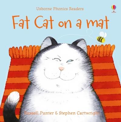 Usborne Phonics Readers: Fat Cat On A Mat