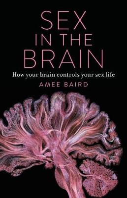 Sex on the Brain: How Your Brain Controls Your Sex Life